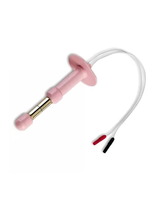 I-Tech Anal probe with plug